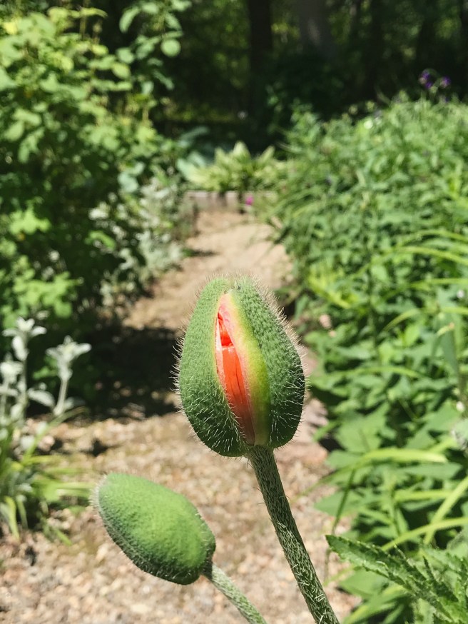 Processed with VSCO with a6 preset