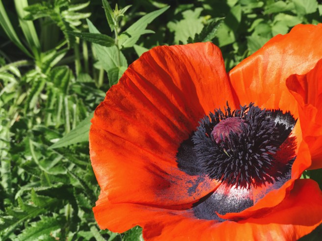 Processed with VSCO with a6 preset